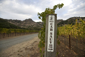 Stag's Leap Wine Cellars - FAY Estate Vineyard