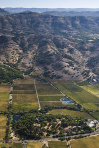Stag's Leap Wine Cellars - FAY and SLV Estate Vineyards