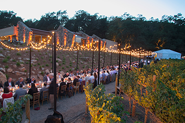 Dinner in the vineyard