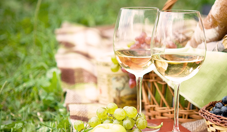 Two glasses of wine with food